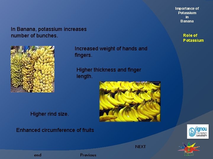 Importance of Potassium in Banana Role and Deficiency