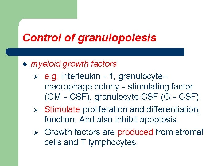 Control of granulopoiesis l myeloid growth factors Ø e. g. interleukin‐ 1, granulocyte– macrophage