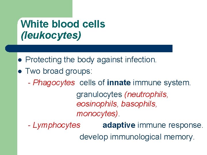 White blood cells (leukocytes) l l Protecting the body against infection. Two broad groups: