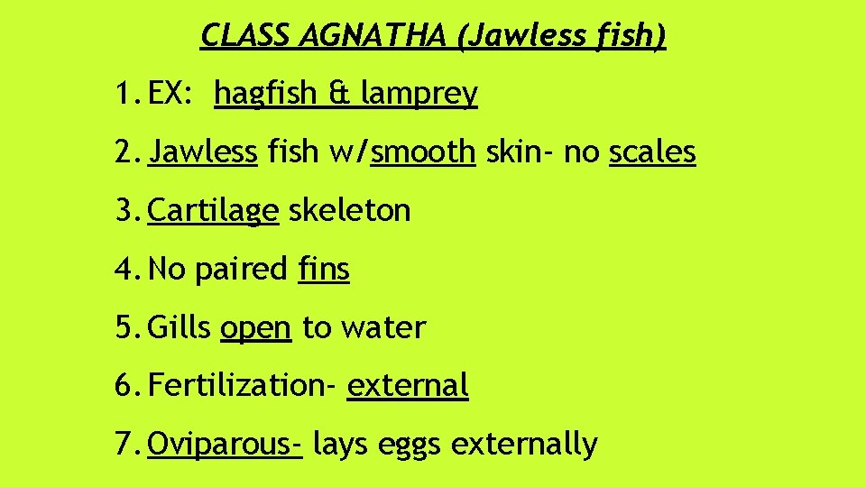 CLASS AGNATHA (Jawless fish) 1. EX: hagfish & lamprey 2. Jawless fish w/smooth skin-