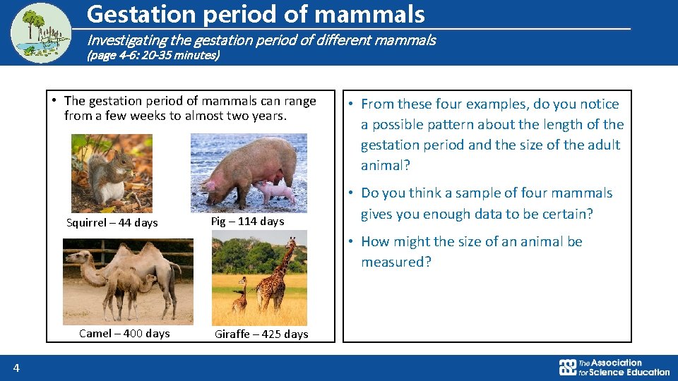 Logo for section to sit inside roundel Gestation period of mammals Investigating the gestation