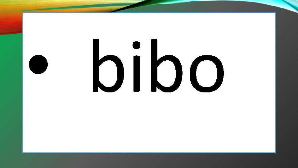  • bibo 