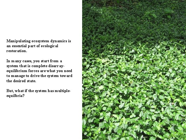 Manipulating ecosystem dynamics is an essential part of ecological restoration. In many cases, you
