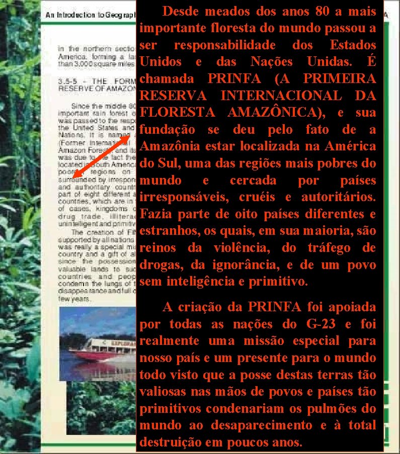 Desde meados anos 80 a mais importante floresta do mundo passou a ser responsabilidade