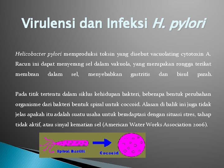 Virulensi dan Infeksi H. pylori Helicobacter pylori memproduksi toksin yang disebut vacuolating cytotoxin A.