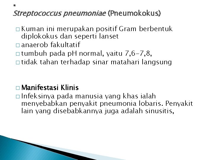 . Streptococcus pneumoniae (Pneumokokus) � Kuman ini merupakan positif Gram berbentuk diplokokus dan seperti
