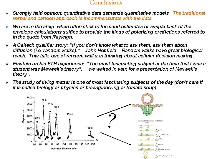 Conclusions Strongly held opinion: quantitative data demands quantitative models. The traditional verbal and cartoon