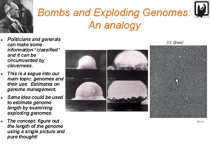 Bombs and Exploding Genomes: An analogy Politicians and generals can make some information “classified”