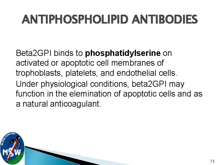 ANTIPHOSPHOLIPID ANTIBODIES Beta 2 GPI binds to phosphatidylserine on activated or apoptotic cell membranes