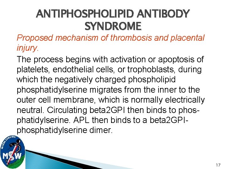 ANTIPHOSPHOLIPID ANTIBODY SYNDROME Proposed mechanism of thrombosis and placental injury. The process begins with