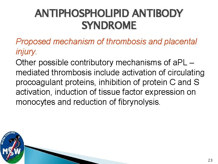 ANTIPHOSPHOLIPID ANTIBODY SYNDROME Proposed mechanism of thrombosis and placental injury. Other possible contributory mechanisms