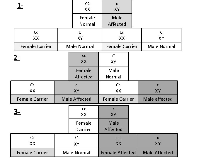 1 - CC Cc c XX XY Female Normal Male Affected C Cc C