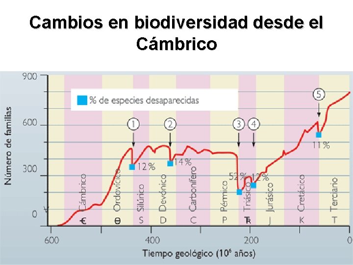 Cambios en biodiversidad desde el Cámbrico 18 