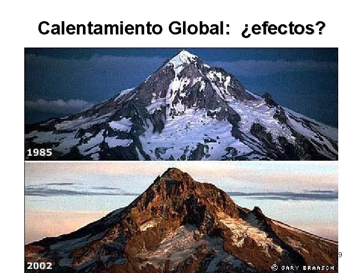 Calentamiento Global: ¿efectos? 19 