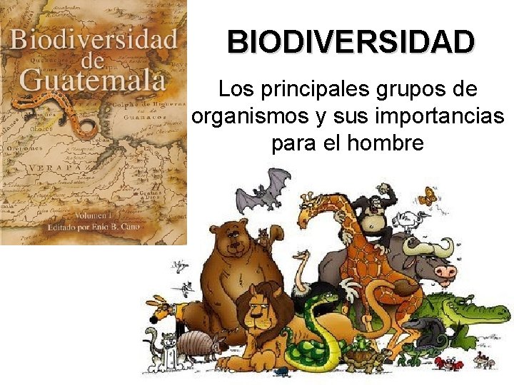 BIODIVERSIDAD Los principales grupos de organismos y sus importancias para el hombre 2 