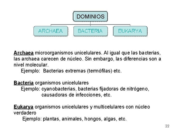 DOMINIOS Archaea microorganismos unicelulares. Al igual que las bacterias, las archaea carecen de núcleo.