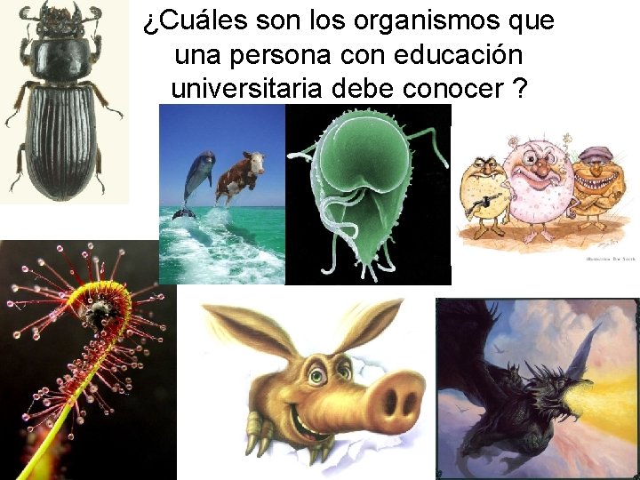 ¿Cuáles son los organismos que una persona con educación universitaria debe conocer ? 24