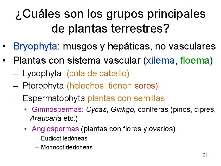 ¿Cuáles son los grupos principales de plantas terrestres? • Bryophyta: musgos y hepáticas, no