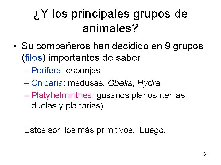 ¿Y los principales grupos de animales? • Su compañeros han decidido en 9 grupos