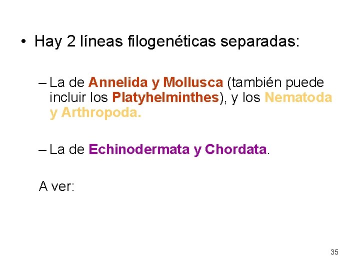  • Hay 2 líneas filogenéticas separadas: – La de Annelida y Mollusca (también