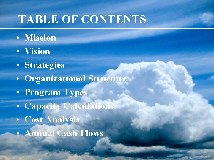 TABLE OF CONTENTS • • Mission Vision Strategies Organizational Structure Program Types Capacity Calculations