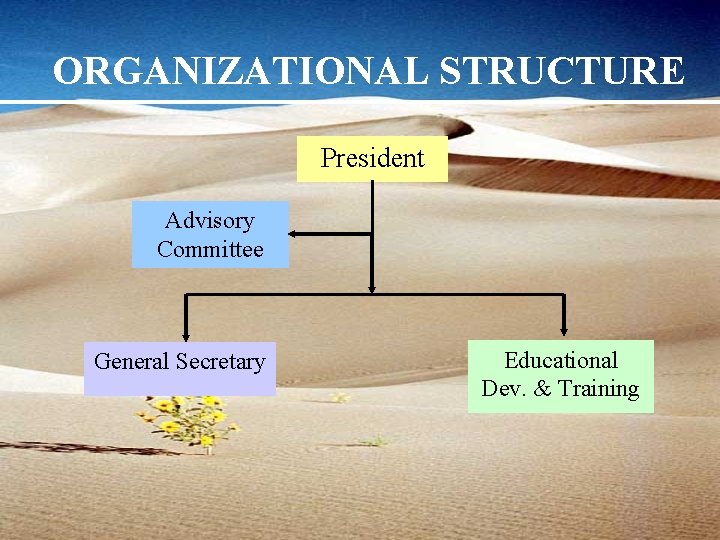 ORGANIZATIONAL STRUCTURE President Advisory Committee General Secretary Educational Dev. & Training 