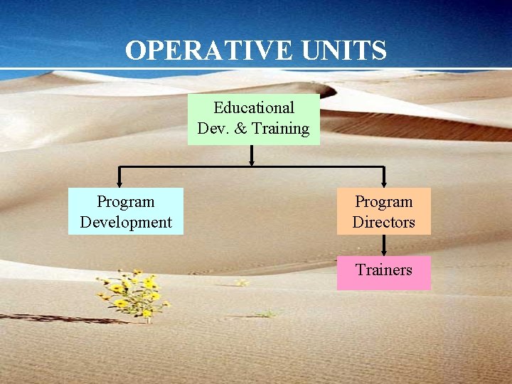 OPERATIVE UNITS Educational Dev. & Training Program Development Program Directors Trainers 