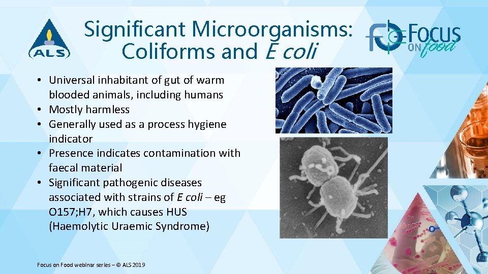 Significant Microorganisms: Coliforms and E coli • Universal inhabitant of gut of warm blooded