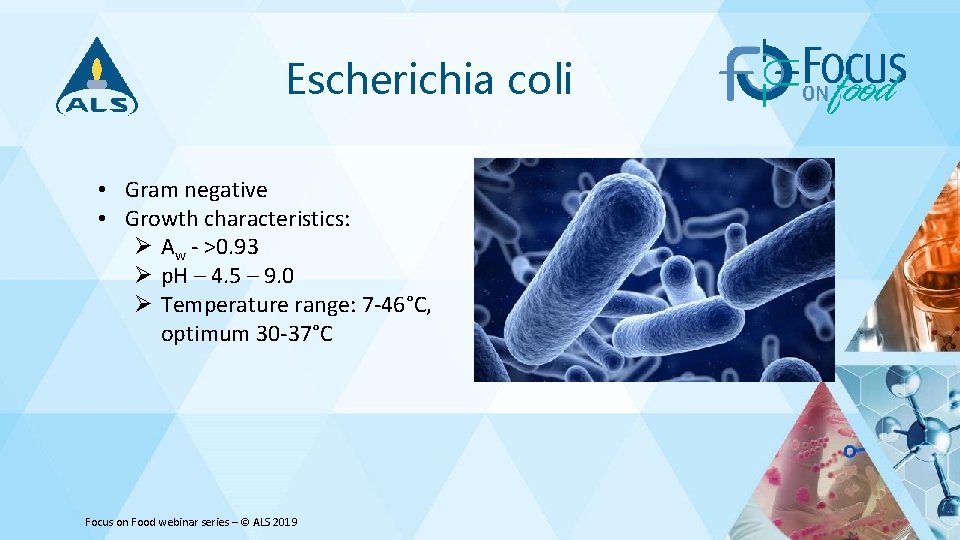 Escherichia coli • Gram negative • Growth characteristics: Ø Aw - >0. 93 Ø