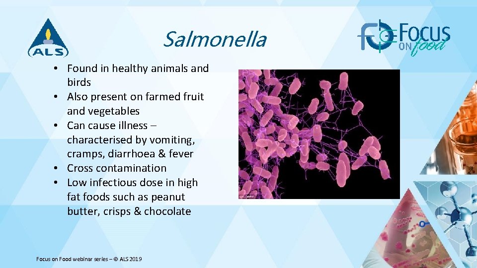 Salmonella • Found in healthy animals and birds • Also present on farmed fruit