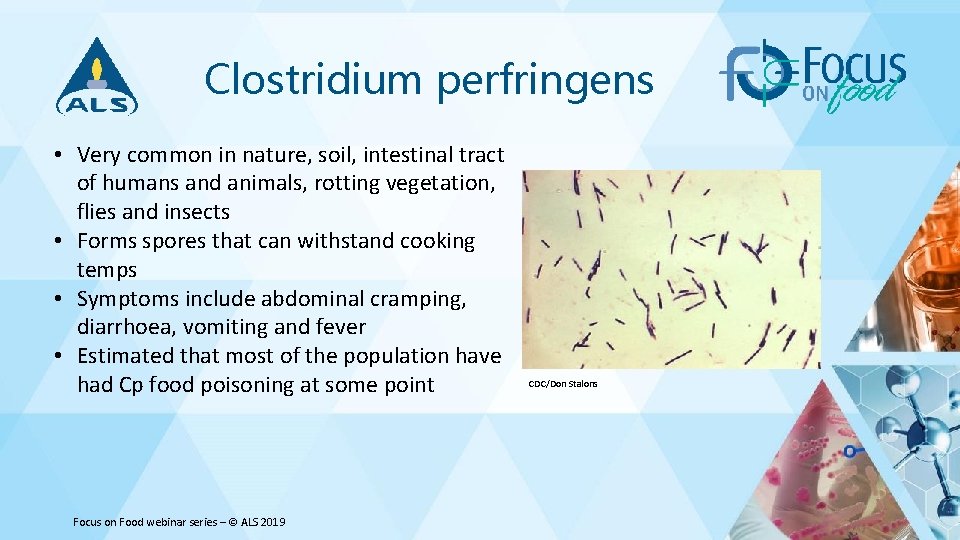 Clostridium perfringens • Very common in nature, soil, intestinal tract of humans and animals,