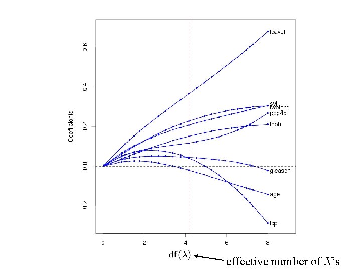 effective number of X’s effective number of X’s