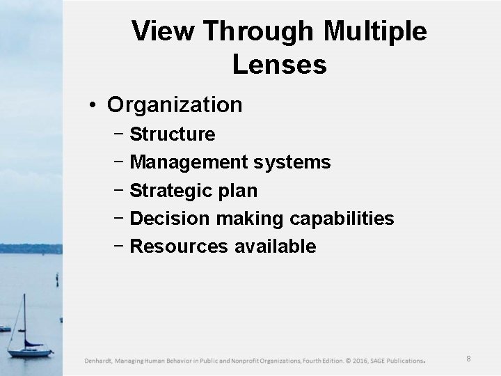 View Through Multiple Lenses • Organization − Structure − Management systems − Strategic plan