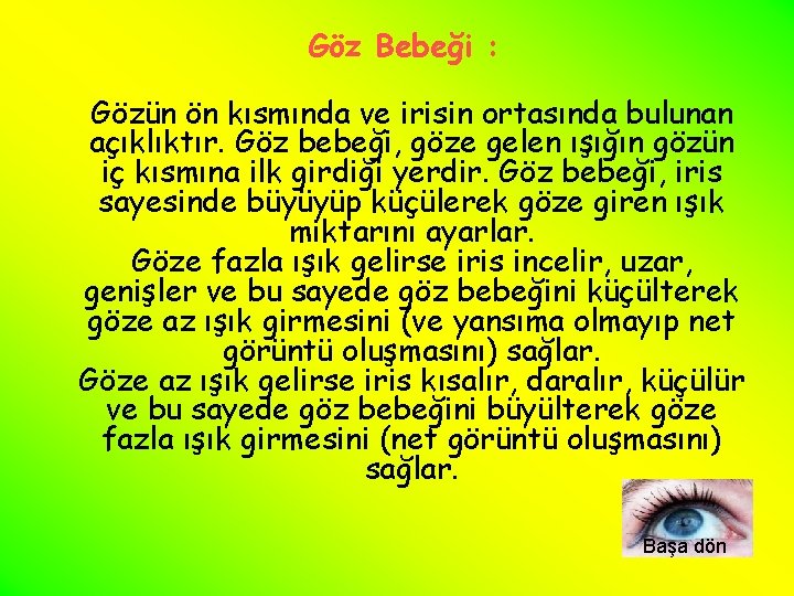 Göz Bebeği : Gözün ön kısmında ve irisin ortasında bulunan açıklıktır. Göz bebeği, göze