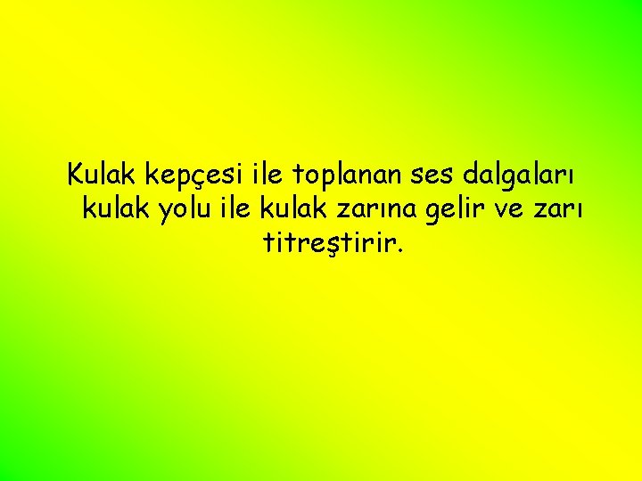 Kulak kepçesi ile toplanan ses dalgaları kulak yolu ile kulak zarına gelir ve zarı