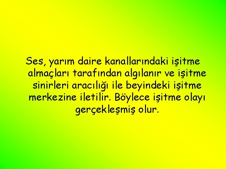 Ses, yarım daire kanallarındaki işitme almaçları tarafından algılanır ve işitme sinirleri aracılığı ile beyindeki