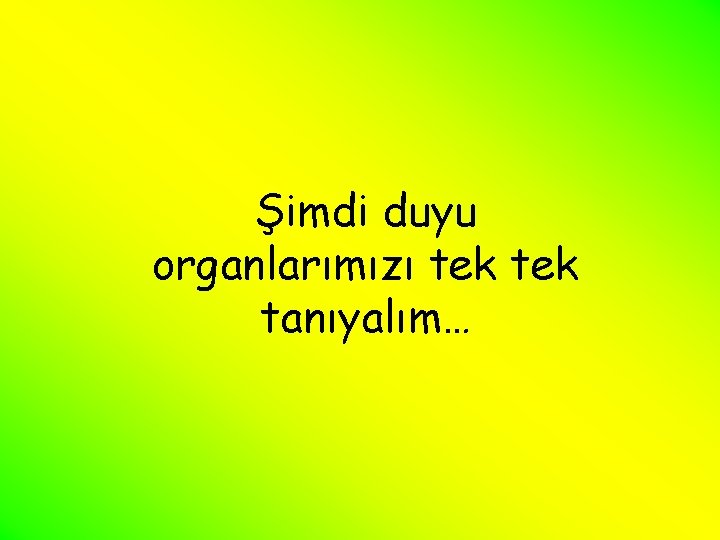 Şimdi duyu organlarımızı tek tanıyalım… 