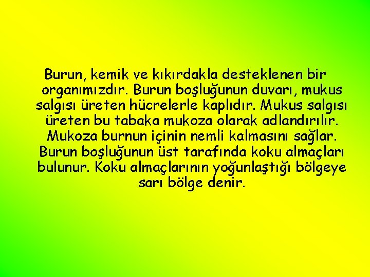 Burun, kemik ve kıkırdakla desteklenen bir organımızdır. Burun boşluğunun duvarı, mukus salgısı üreten hücrelerle