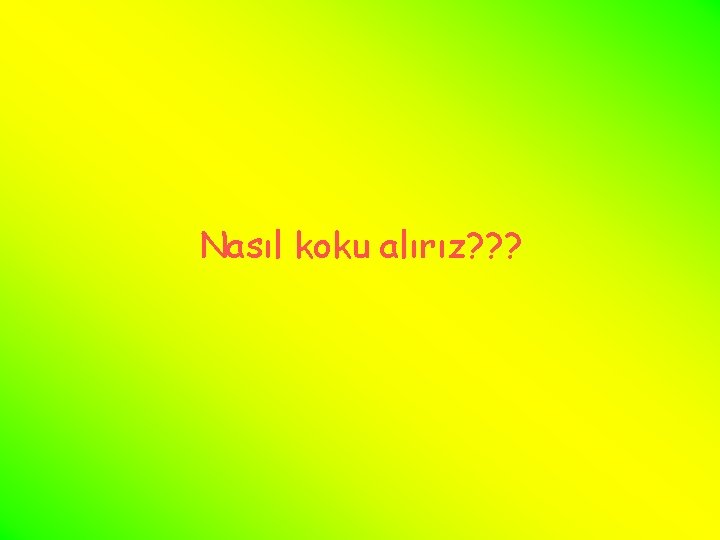 Nasıl koku alırız? ? ? 