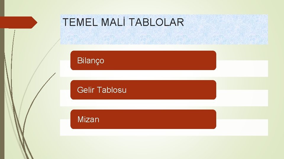 TEMEL MALİ TABLOLAR Bilanço Gelir Tablosu Mizan 