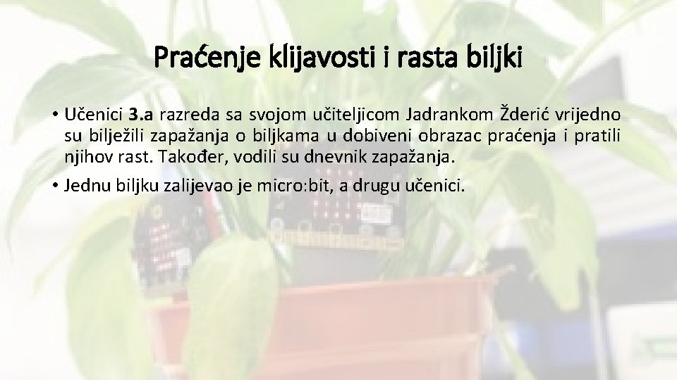 Praćenje klijavosti i rasta biljki • Učenici 3. a razreda sa svojom učiteljicom Jadrankom