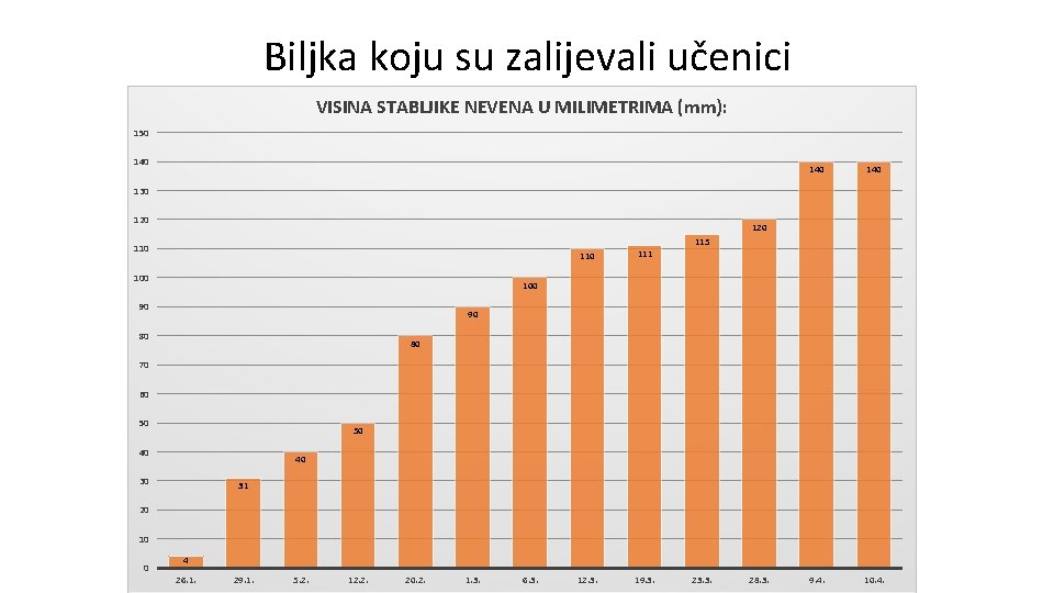 Biljka koju su zalijevali učenici VISINA STABLJIKE NEVENA U MILIMETRIMA (mm): 150 140 140