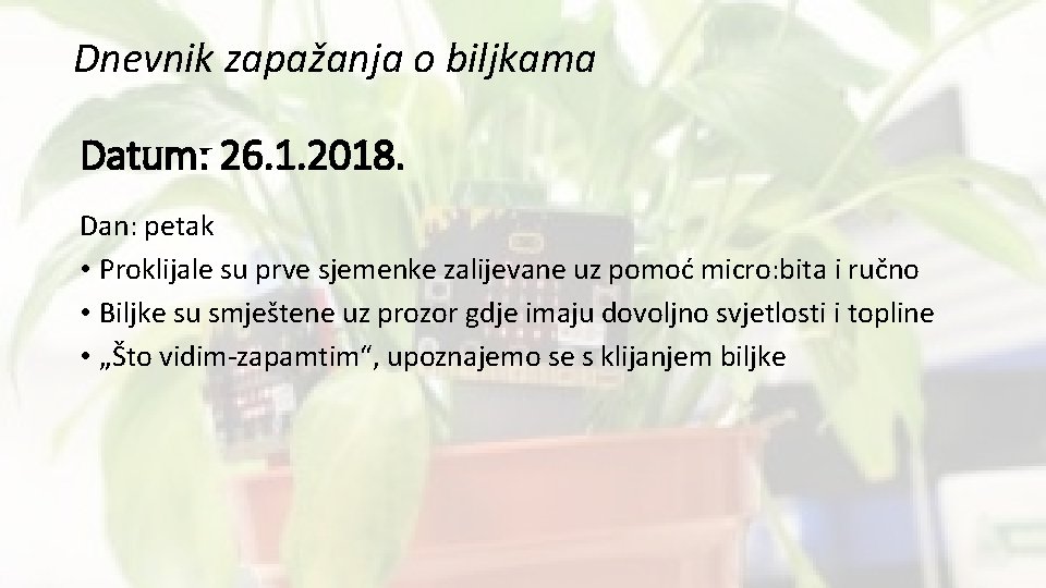 Dnevnik zapažanja o biljkama Datum: 26. 1. 2018. Dan: petak • Proklijale su prve