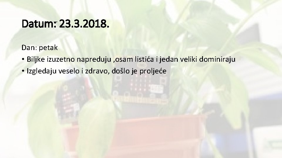 Datum: 23. 3. 2018. Dan: petak • Biljke izuzetno napreduju , osam listića i