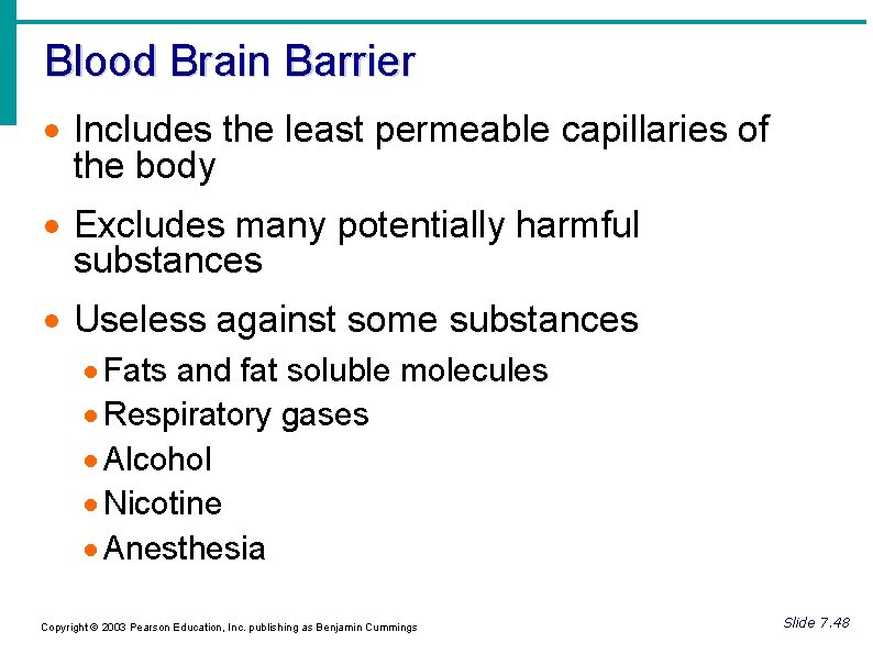 Blood Brain Barrier Includes the least permeable capillaries of the body Excludes many potentially