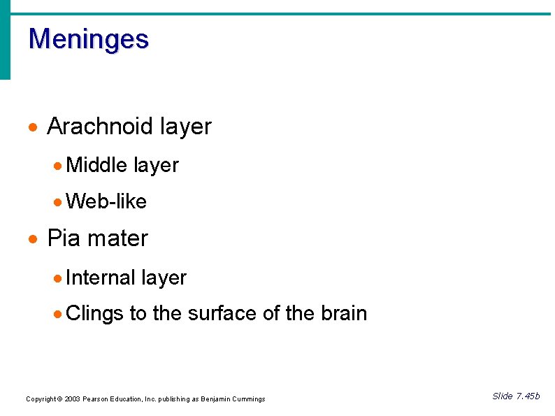 Meninges Arachnoid layer Middle layer Web-like Pia mater Internal layer Clings to the surface