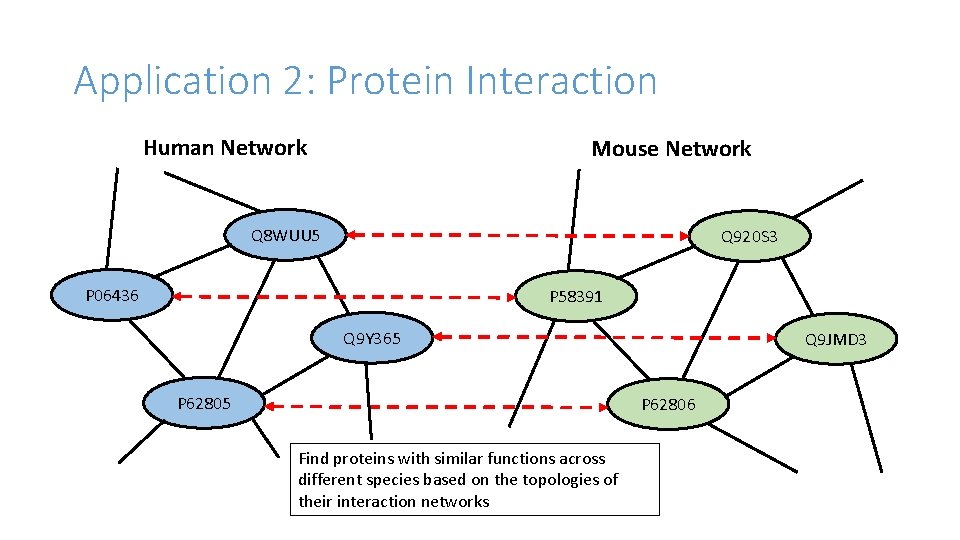 Application 2: Protein Interaction Human Network Mouse Network Q 8 WUU 5 Q 920