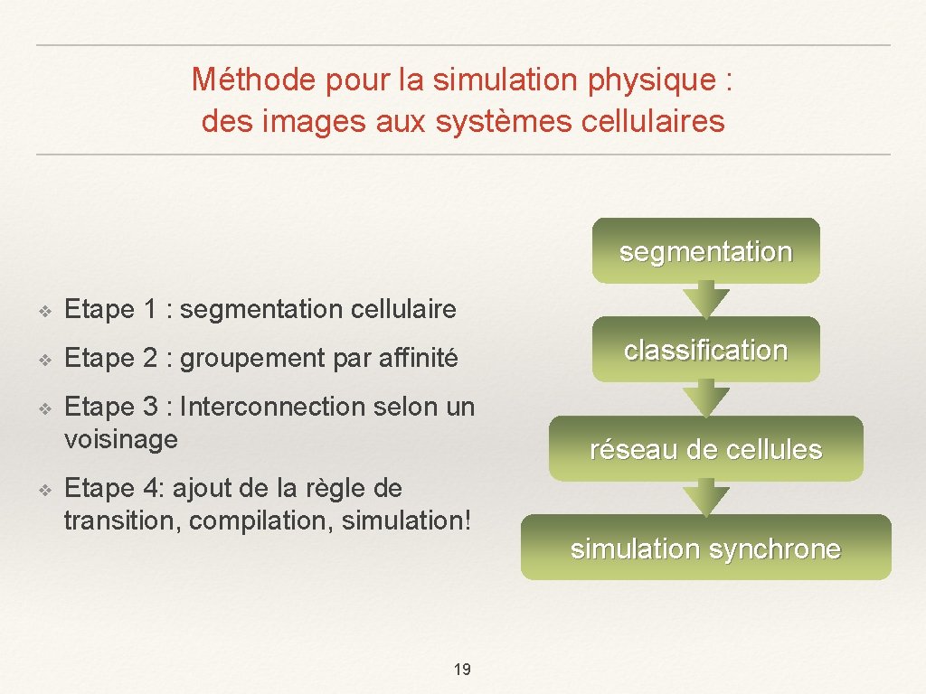 Méthode pour la simulation physique : des images aux systèmes cellulaires segmentation ❖ Etape