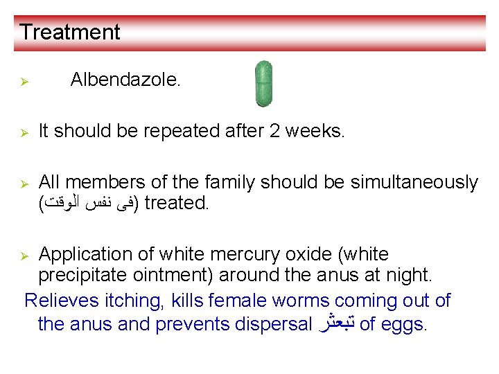 Treatment Ø Ø Ø Albendazole. It should be repeated after 2 weeks. All members