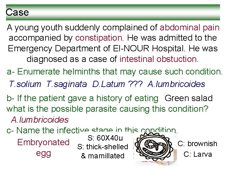 Case A young youth suddenly complained of abdominal pain accompanied by constipation. He was